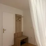 Locandina Jure Apartment Rovinj